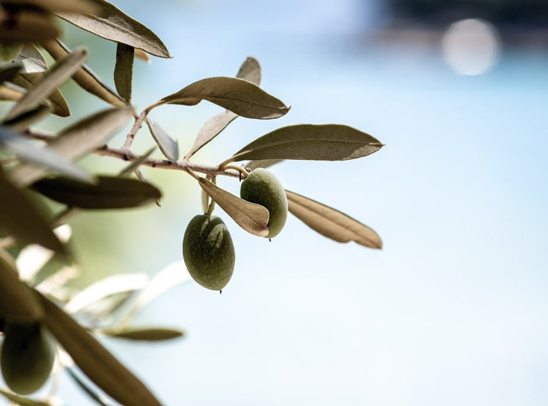 Relive the Glory: Wallpapers from Historic Championships