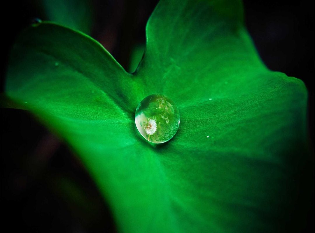 An Alternative Method: Converting Meters Directly to Inches