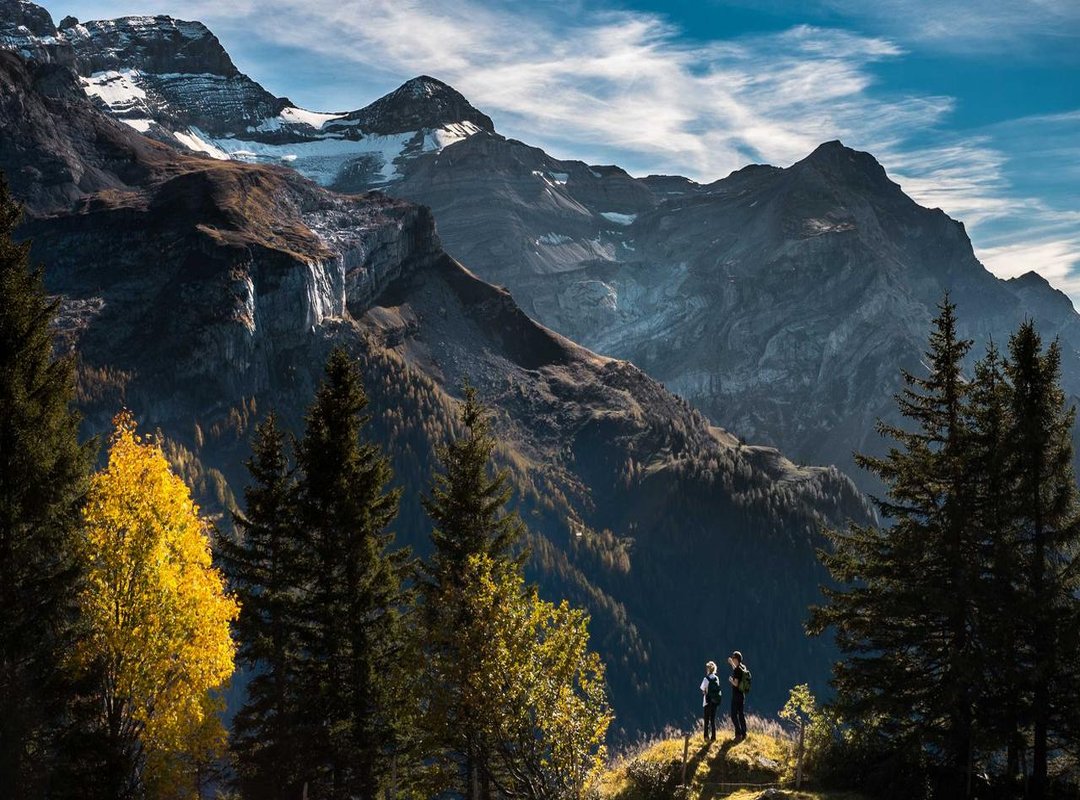 A Classic Recipe: Pan-Seared Bonito with Garlic and Parsley