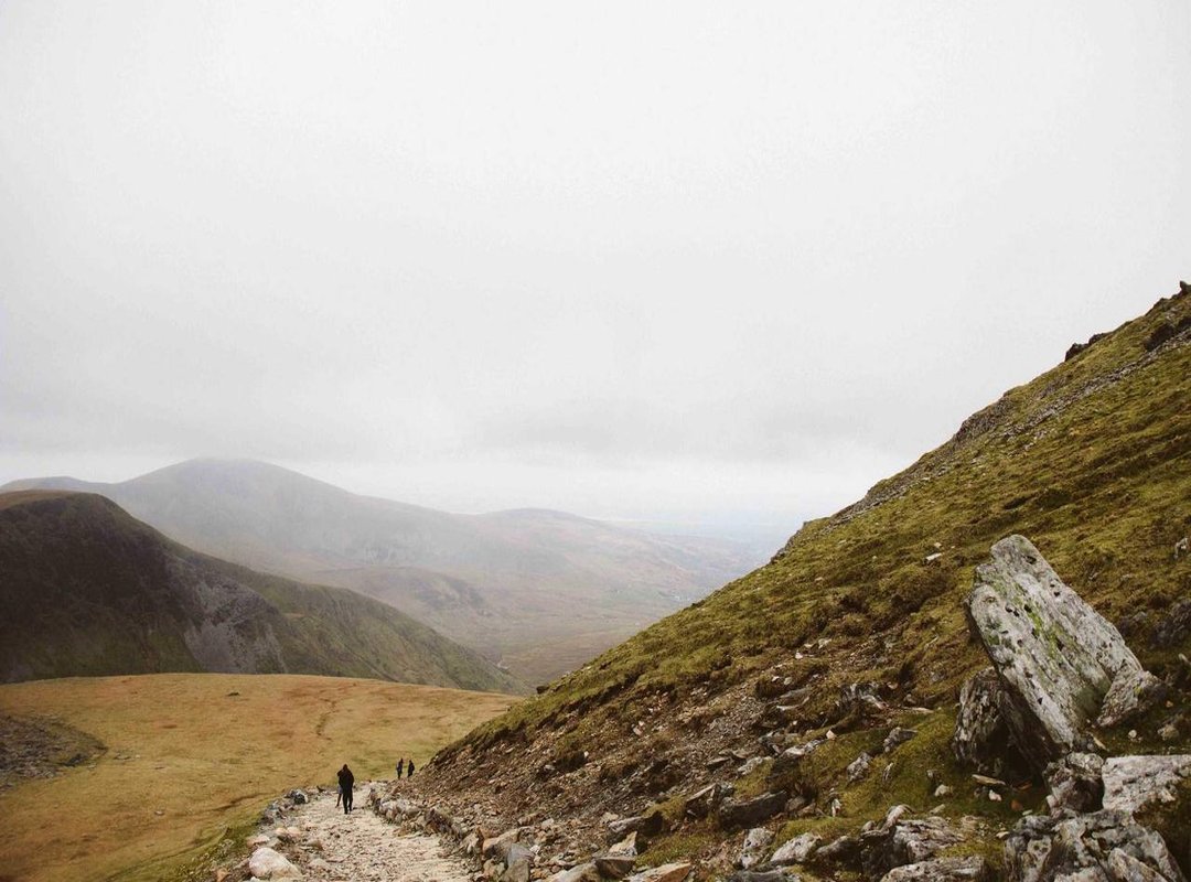 Your 'JQVQuick' Pantry: 10 Essential Ingredients