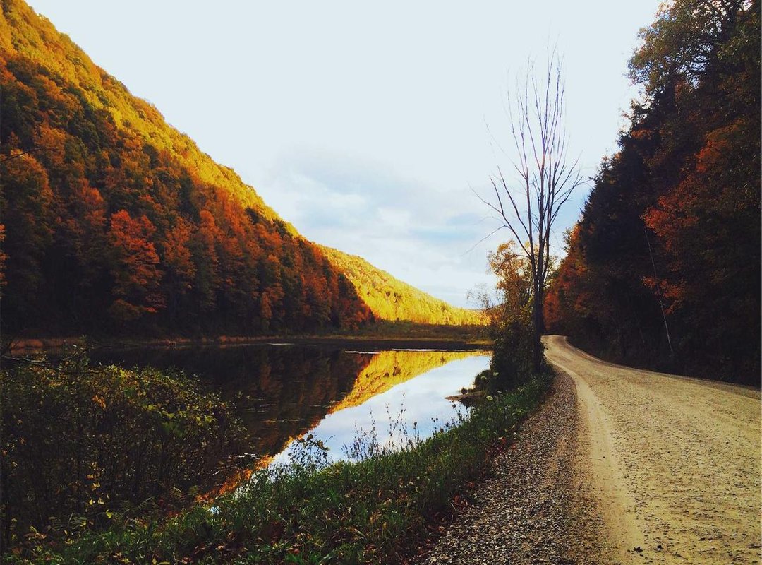 Where to Buy Authentic Karseell Collagen in Chile: A Retailer Showdown