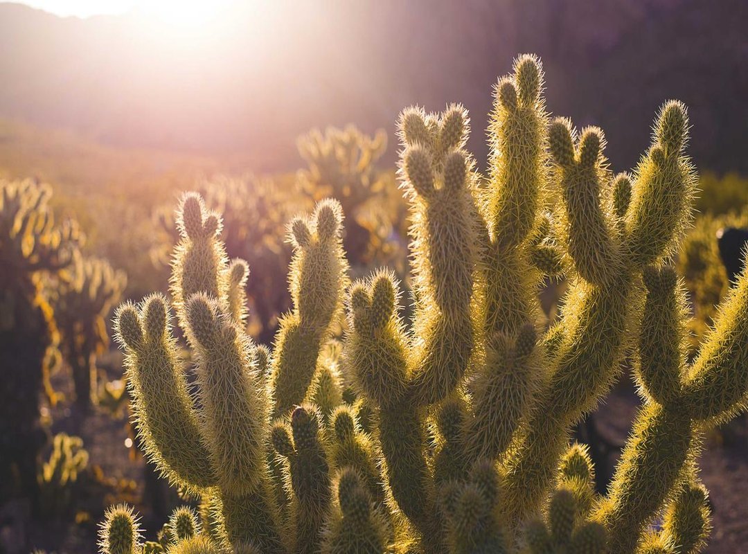 Behind the Curtain: Why These Goofs Keep Happening