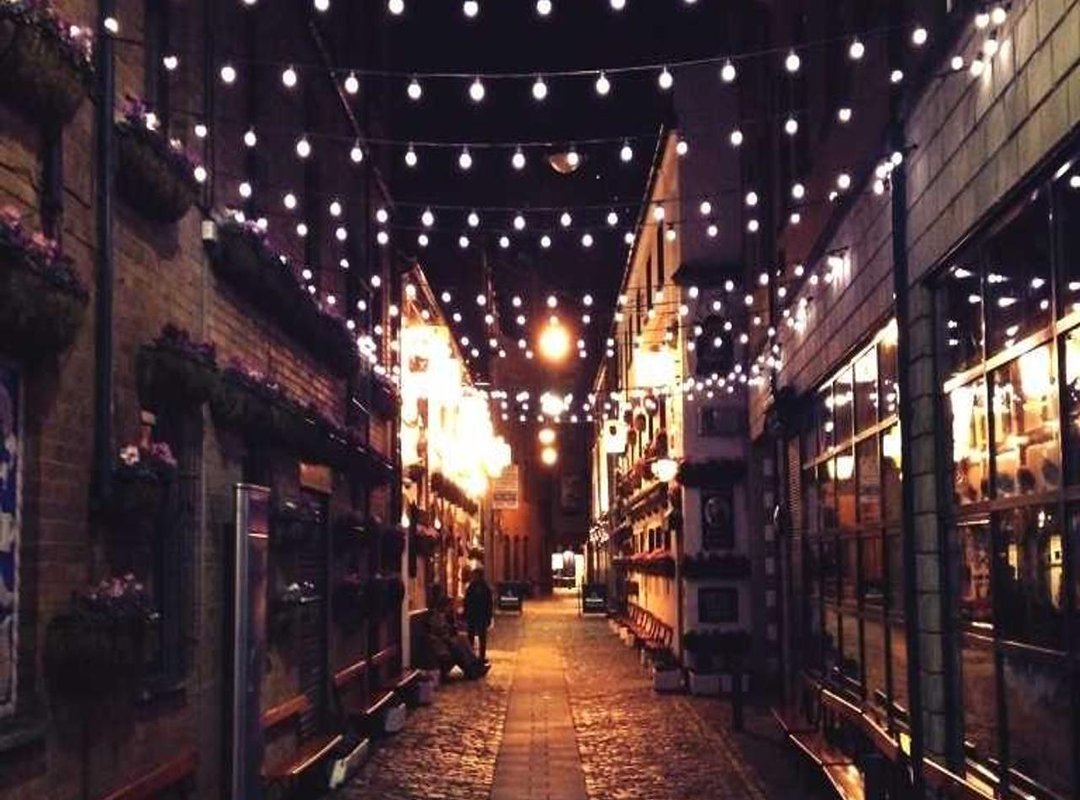 The Million-Dollar Question: What Kind of Dog Is Dúi?