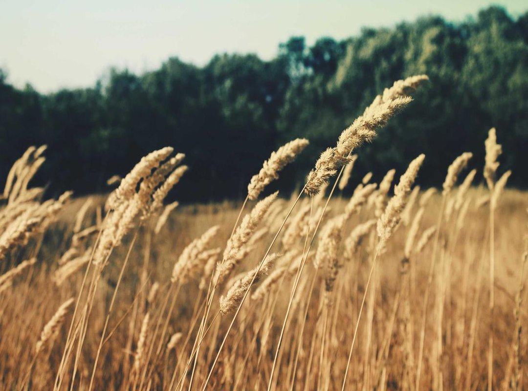 Think Outside the Ring: Unique and Creative Boxing Concepts